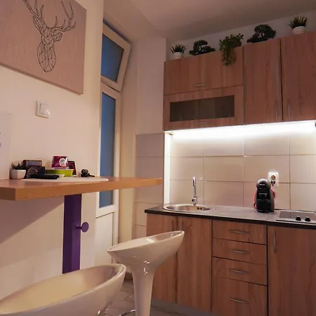 Purple Apartment Belgrade