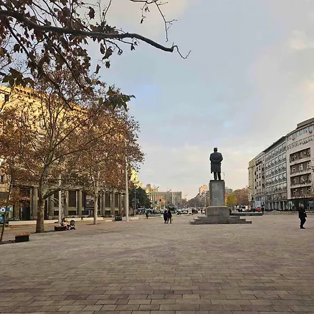 Purple * Belgrade