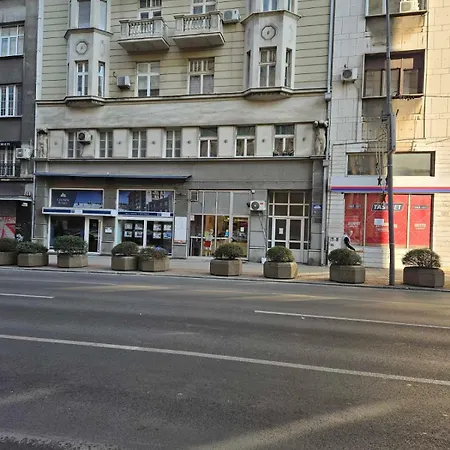 Purple * Belgrade